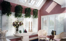 window-shutters-in-Mountain-View-CA