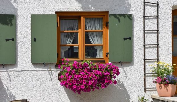 Decorating Around Window Shutters For The Best Results San